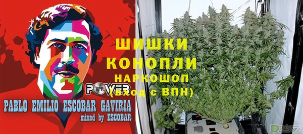 хмурый Касимов
