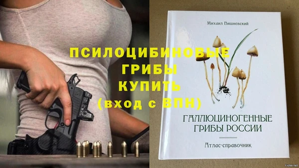 хмурый Касимов