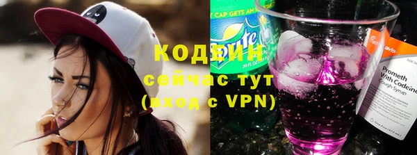 хмурый Касимов
